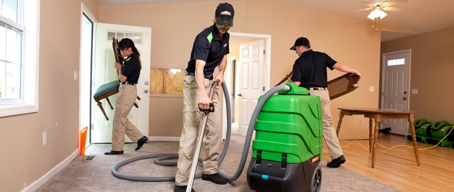 Temple Terrace, FL cleaning services